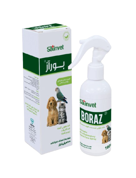 اسپری بورآز
